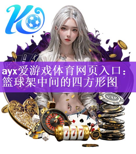 ayx爱游戏体育网页入口：篮球架中间的四方形图