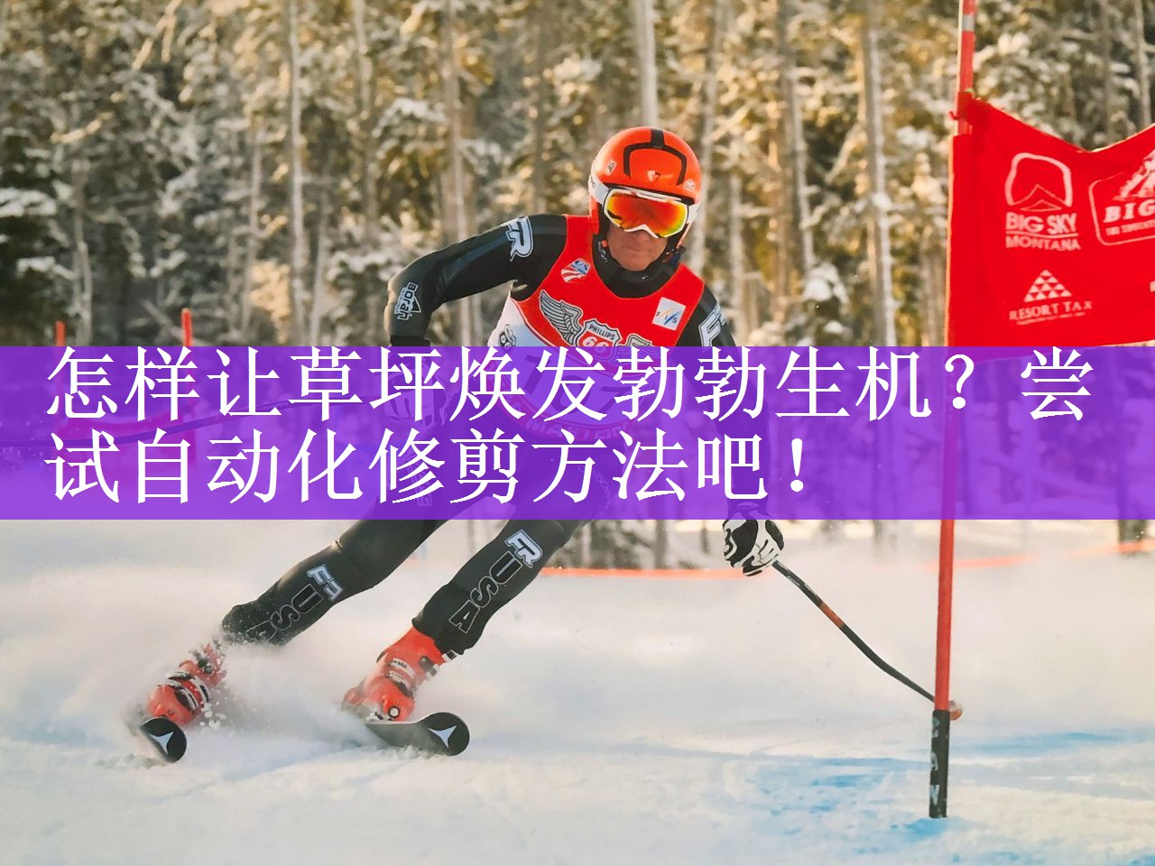 怎样让草坪焕发勃勃生机？尝试自动化修剪方法吧！