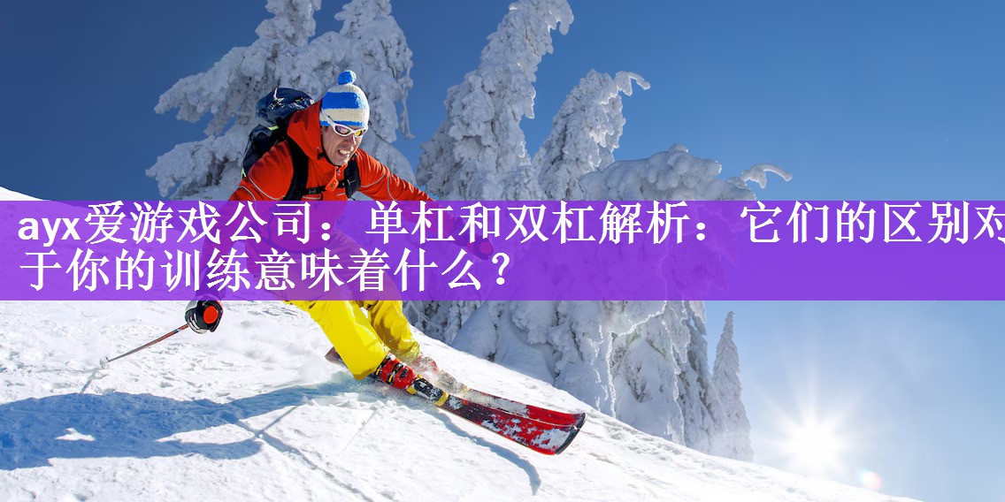 单杠和双杠解析：它们的区别对于你的训练意味着什么？